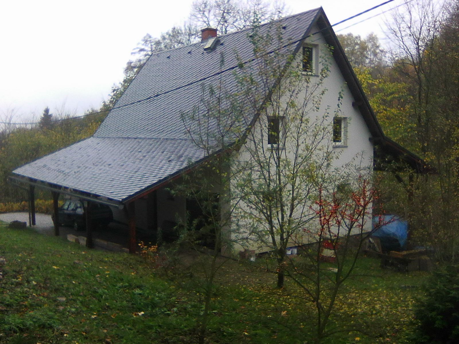 023.JPG (384061 bytes)